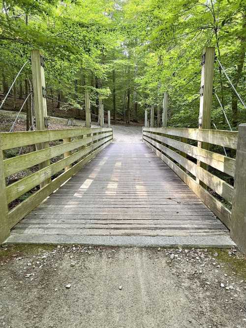 A wooden bridge leads into a lush green forest, surrounded by trees and a gravel path.