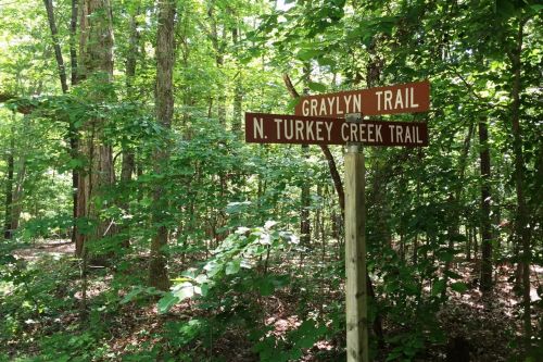 A wooden signpost in a lush green forest indicating the Graylyn Trail and N. Turkey Creek Trail directions.