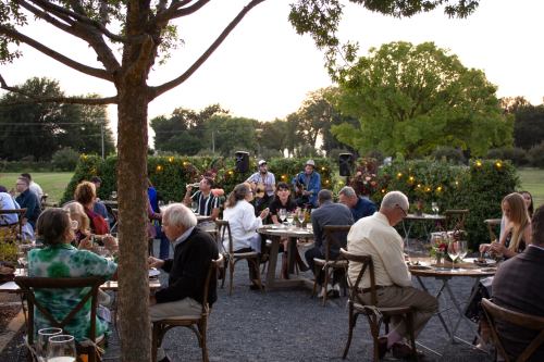 A lively outdoor gathering with guests dining at tables, enjoying music under trees during sunset.