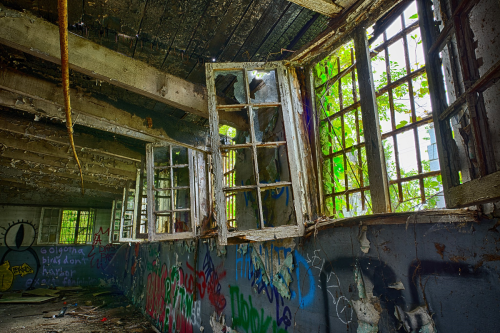 Abandoned room with broken windows, overgrown with plants, and colorful graffiti on the walls.