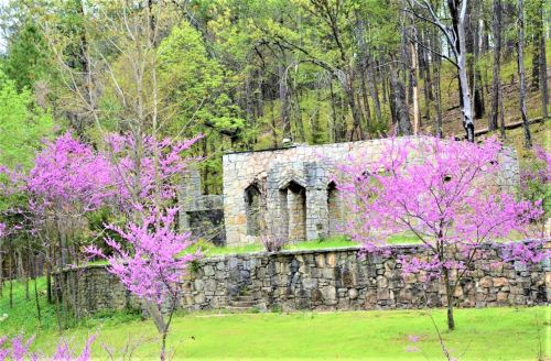 A stone structure surrounded by vibrant pink trees in a lush green forest.