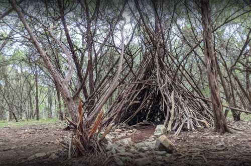 A rustic shelter made of branches and sticks, surrounded by trees in a forested area.