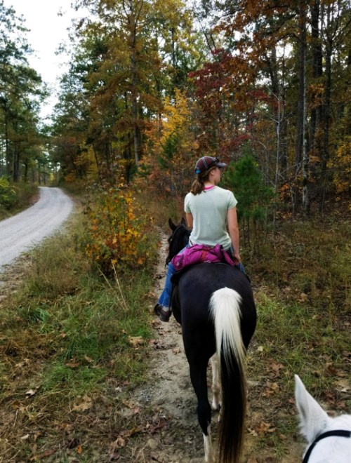 A girl rides a black and white horse along a forest path, surrounded by autumn foliage.