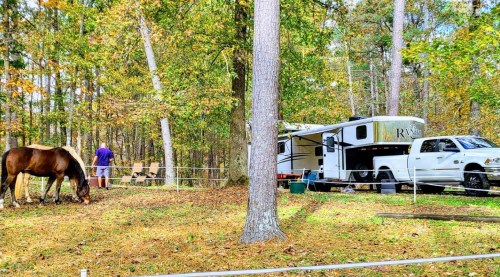 A horse grazes near a camper and truck in a wooded area with autumn foliage. A person stands nearby.