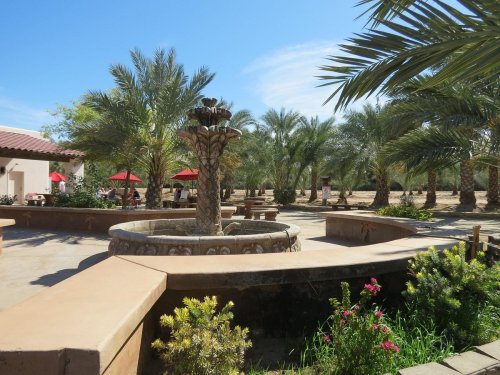A sunny outdoor area featuring a fountain surrounded by palm trees and colorful flowers, with shaded seating nearby.