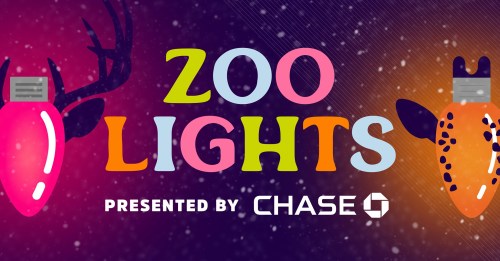 Colorful text reading "Zoo Lights" with festive light bulb graphics and a snowy background, presented by Chase.