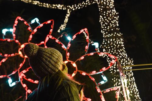 A person in a knit hat gazes up at colorful holiday lights shaped like flowers on a tree.