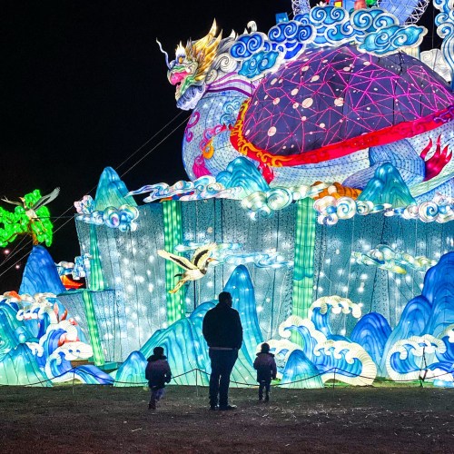A colorful illuminated dragon sculpture with people admiring it at night.