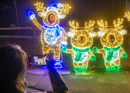 A person takes a photo of illuminated reindeer decorations during a festive display at night.