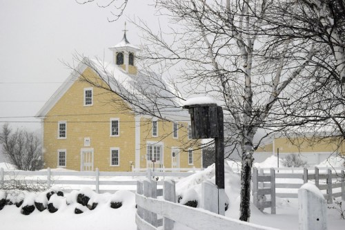 A yellow barn surrounded by deep snow, with a tree and a wooden mailbox in the foreground on a snowy day.
