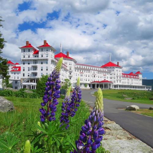A grand white hotel with red roofs, surrounded by green landscaping and purple flowers under a blue sky with clouds.