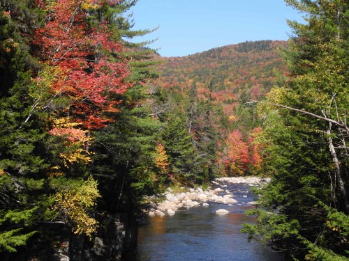 A serene river flows through a vibrant forest with colorful autumn leaves and a backdrop of rolling hills.