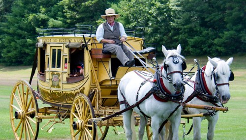A man in a hat sits atop a vintage yellow stagecoach pulled by two white horses in a grassy field.