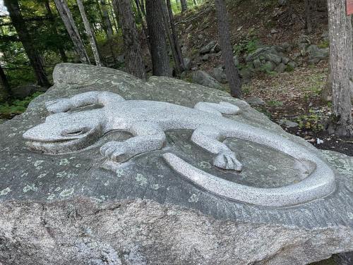 A carved stone lizard sculpture resting on a large rock, surrounded by trees and natural scenery.