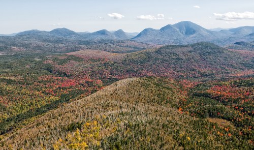 Aerial view of a colorful forest landscape with rolling hills and mountains in the background under a clear sky.