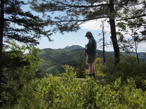 A hiker stands on a rocky outcrop, overlooking a lush green mountain landscape under a clear blue sky.