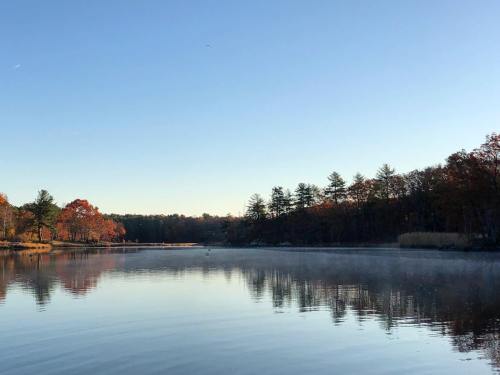 A serene lake reflects autumn trees and a clear blue sky, creating a peaceful natural landscape.