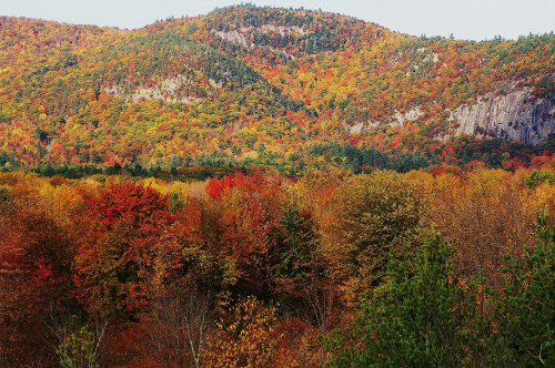 Vibrant autumn landscape with colorful trees in shades of red, orange, and yellow against a mountainous backdrop.