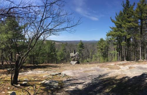 A panoramic view of a forested landscape with rocky terrain and distant mountains under a clear blue sky.