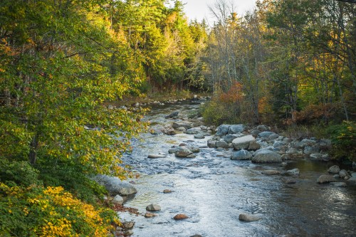 A serene river flows through a forested area, surrounded by rocks and autumn foliage.