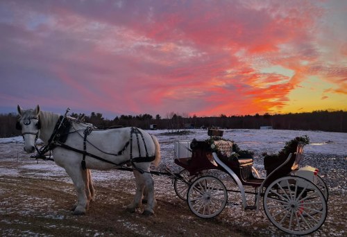 A white horse stands beside a decorated carriage against a vibrant sunset sky with snow-covered ground.
