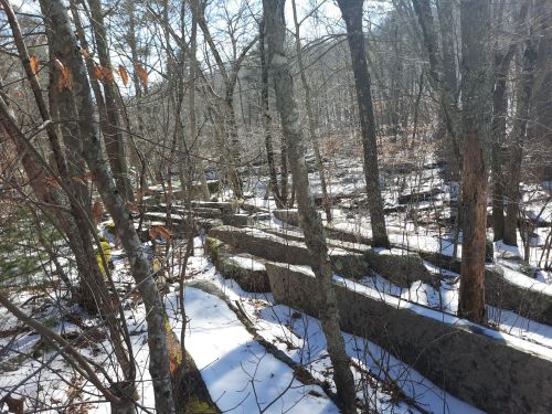A snowy forest scene with exposed stone structures and bare trees, creating a serene, natural landscape.