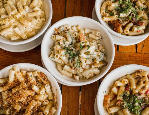 A variety of pasta dishes in white bowls, featuring creamy sauces and garnishes, arranged on a wooden table.