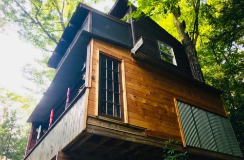 A wooden treehouse with a balcony, nestled among green trees, featuring large windows and a rustic design.
