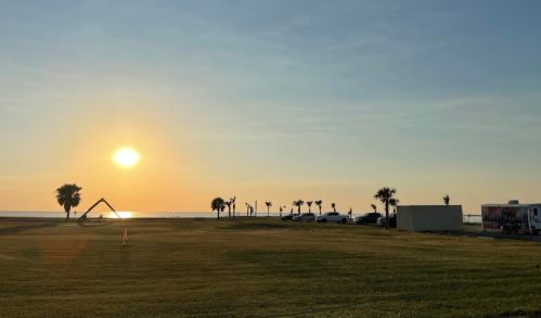 Sunset over the ocean with palm trees and parked cars on a grassy area, creating a serene coastal scene.