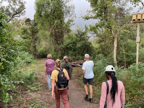 A group of five people walking along a forest path surrounded by greenery and trees.