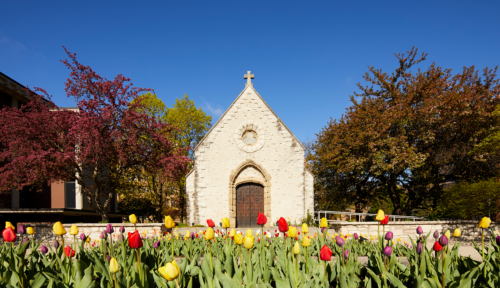 A stone chapel surrounded by colorful tulips and trees under a clear blue sky.