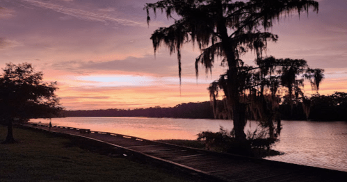 A serene river at sunset, with a wooden path and a tree draped in Spanish moss silhouetted against the colorful sky.