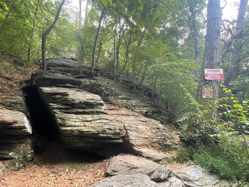 A rocky path through a wooded area, with trees and a warning sign visible in the background.