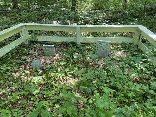 Three weathered gravestones surrounded by greenery and a wooden fence in a forested area.