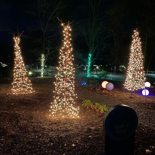 Three illuminated trees made of branches and lights, surrounded by colorful orbs in a dark garden setting.