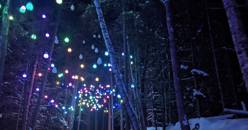 Colorful lights hang between trees in a snowy forest at night, creating a magical, festive atmosphere.