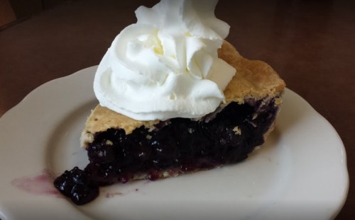 A slice of blueberry pie topped with a generous swirl of whipped cream on a white plate.