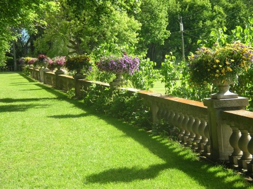 A lush green lawn lined with decorative planters filled with colorful flowers under bright sunlight.
