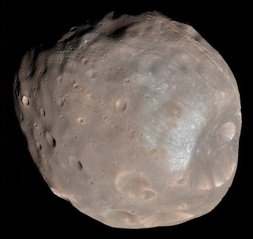 A close-up view of Phobos, Mars' largest moon, showcasing its cratered surface and irregular shape.