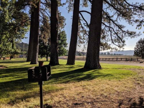 A serene park scene with tall trees casting shadows on green grass, and a mailbox in the foreground.