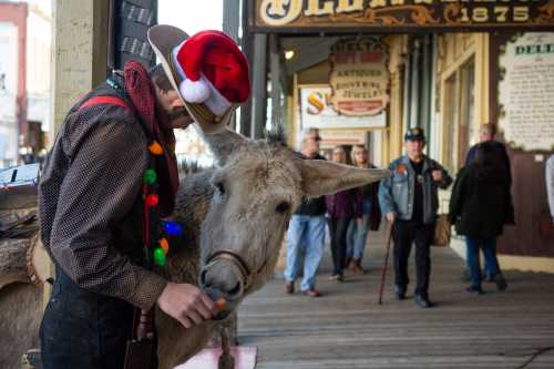 A person in a Santa hat pets a donkey on a busy street with festive decorations and passersby in the background.