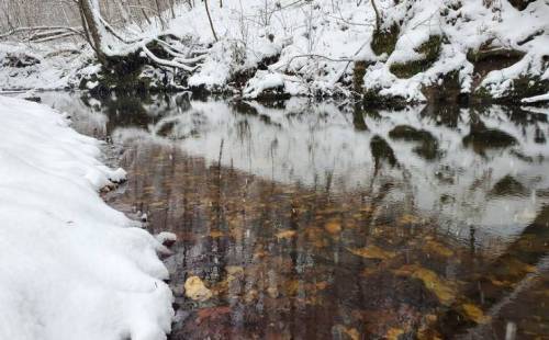 A serene winter scene featuring a snow-covered bank beside a calm, reflective stream with visible rocks beneath the water.
