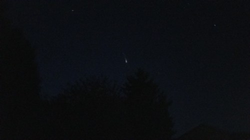 A dark night sky with a bright comet streaking across, silhouetted trees in the foreground.