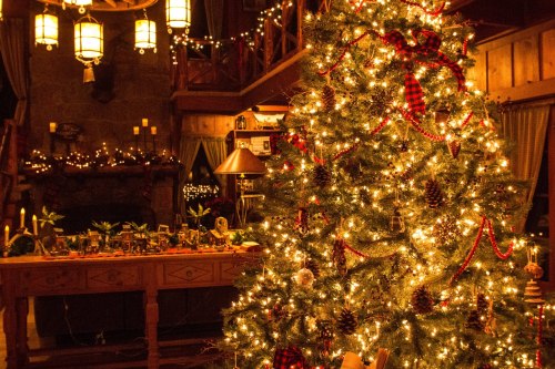 A beautifully decorated Christmas tree with warm lights, surrounded by festive decor in a cozy, rustic setting.