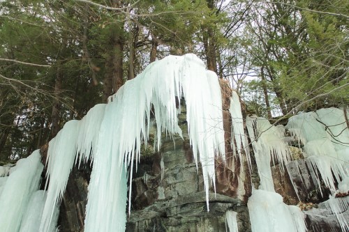 Icicles hang from a rocky cliff, surrounded by evergreen trees in a winter landscape.
