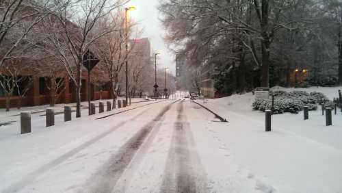 A snowy street lined with trees and buildings, with fresh snow covering the ground and light poles glowing softly.