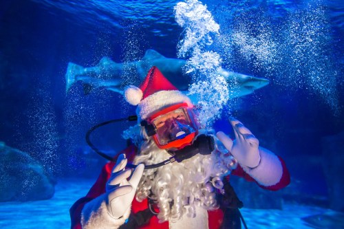 Santa Claus in a diving suit underwater, surrounded by bubbles and a shark in the background.