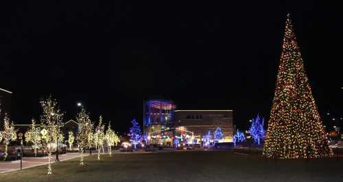 A brightly lit Christmas tree stands in a park at night, surrounded by colorful lights on trees and a modern building.