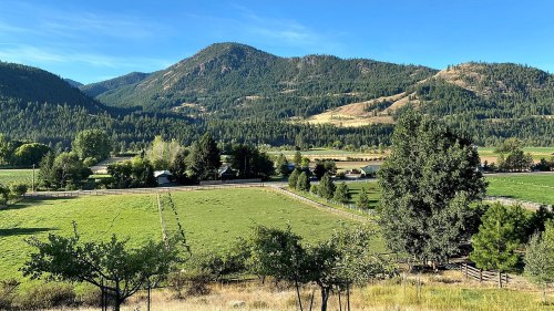 A scenic view of green fields and trees with mountains in the background under a clear blue sky.