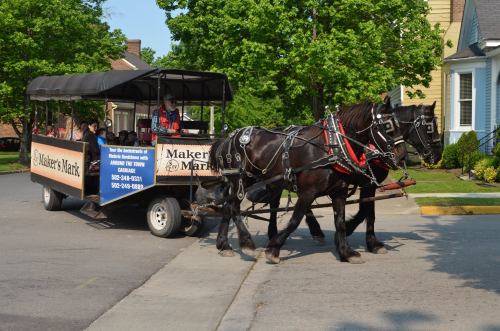 A horse-drawn carriage with a "Maker's Mark" sign travels down a tree-lined street.